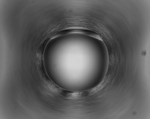 X0000100370184200806061204