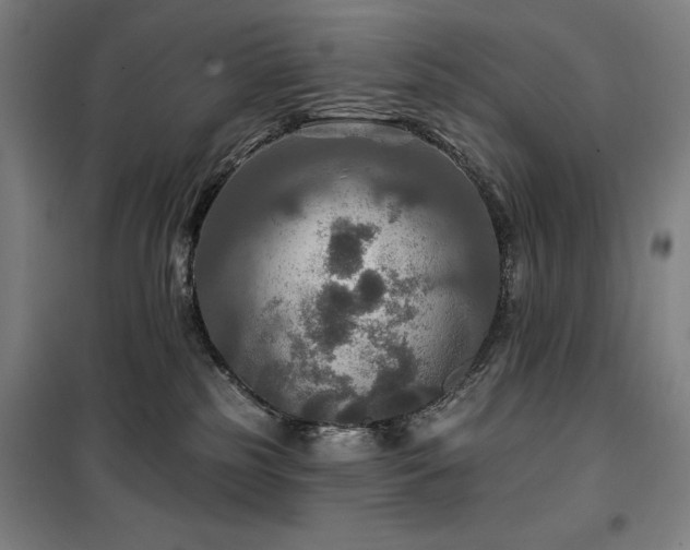 X0000100370185200806061204