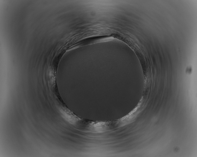 X0000100370186200806061204