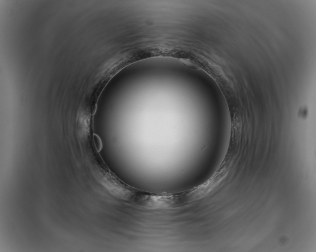 X0000100370188200806061204