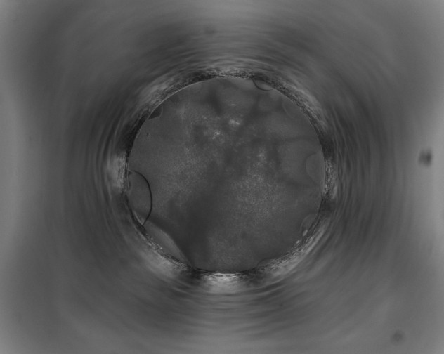 X0000100370189200806061204