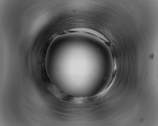 X0000100370190200806061204