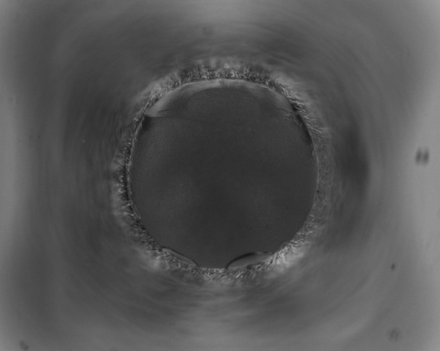 X0000100370192200806061204