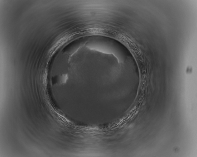 X0000100370194200806061203