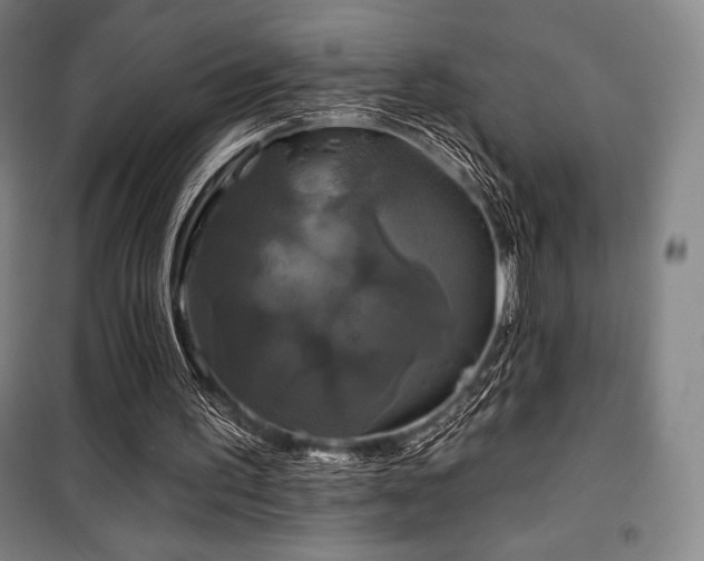 X0000100370195200806061203