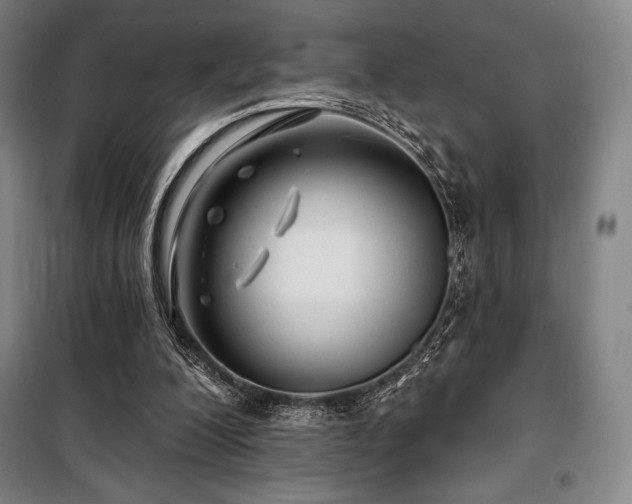 X0000100370200200806061203