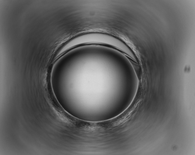 X0000100370201200806061203