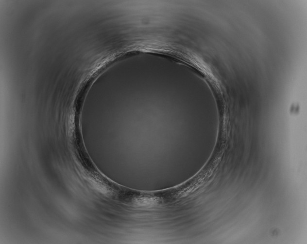 X0000100370202200806061203