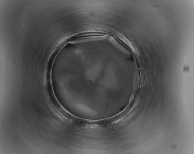 X0000100370203200806061203