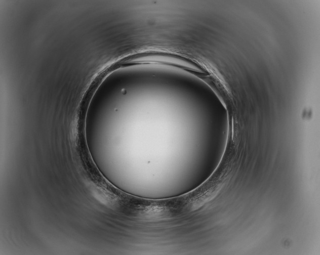 X0000100370204200806061203