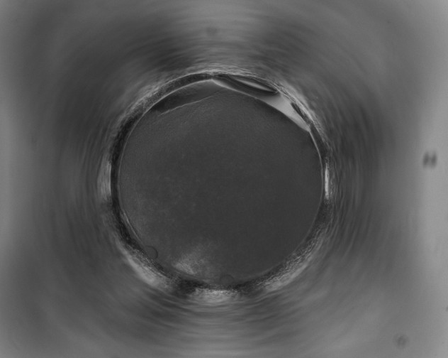 X0000100370205200806061203