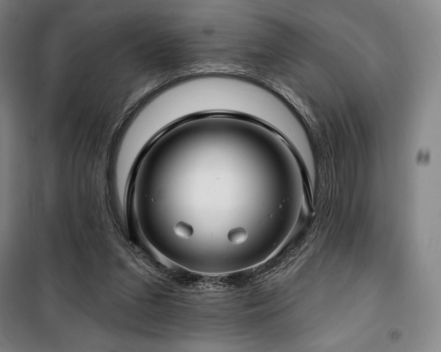 X0000100370207200806061203