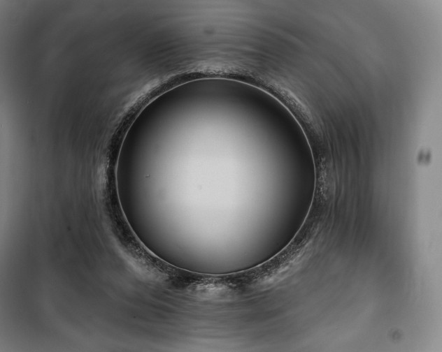 X0000100370208200806061203