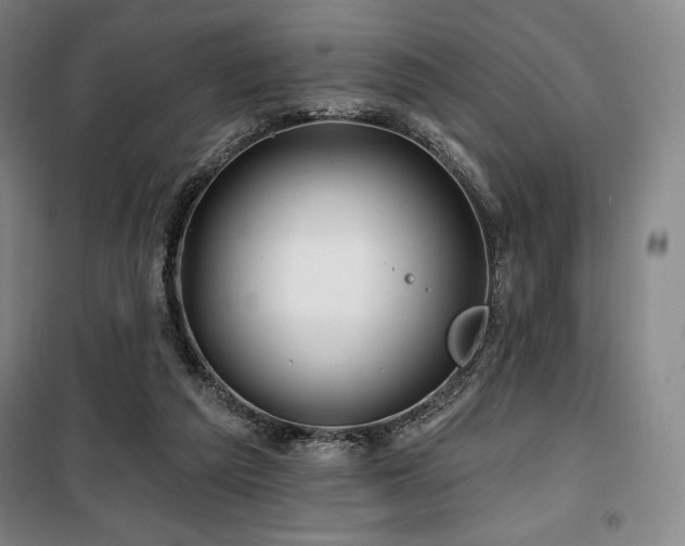 X0000100370209200806061203