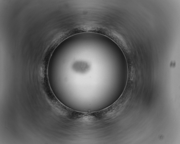 X0000100370210200806061203