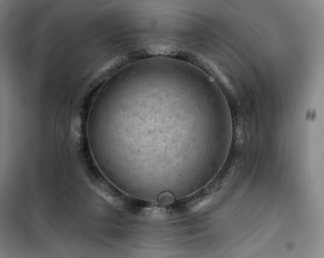 X0000100370211200806061203