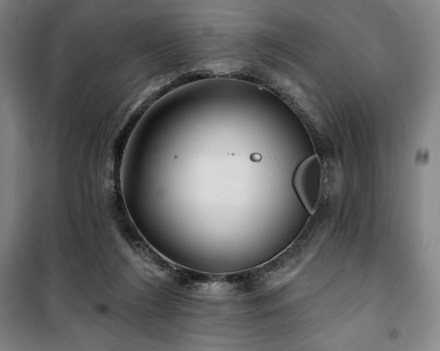 X0000100370212200806061203