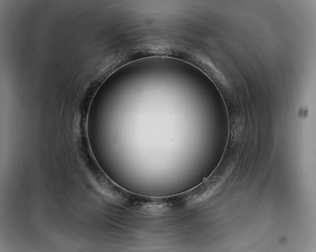 X0000100370213200806061203