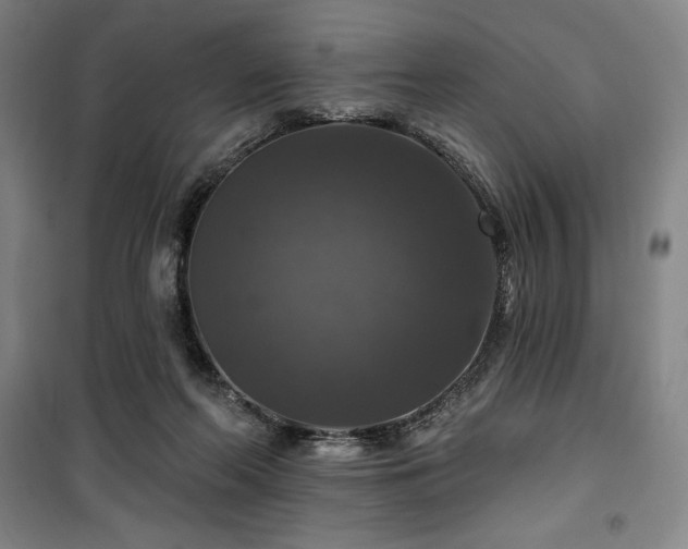 X0000100370214200806061203