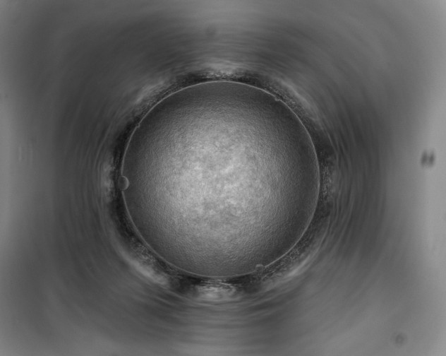 X0000100370215200806061203