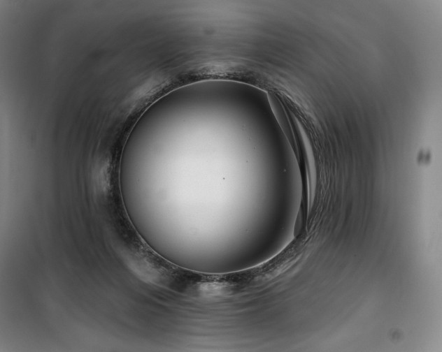 X0000100370216200806061203