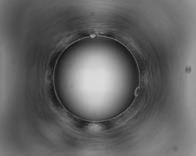 X0000100370218200806061203