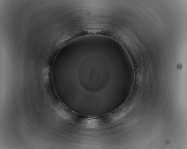 X0000100370219200806061203