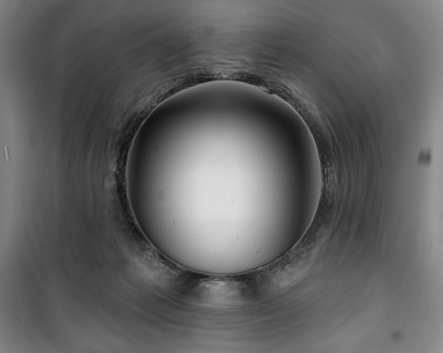 X0000100370221200806061203