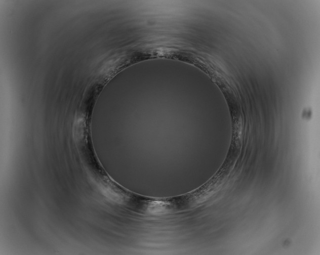 X0000100370222200806061203