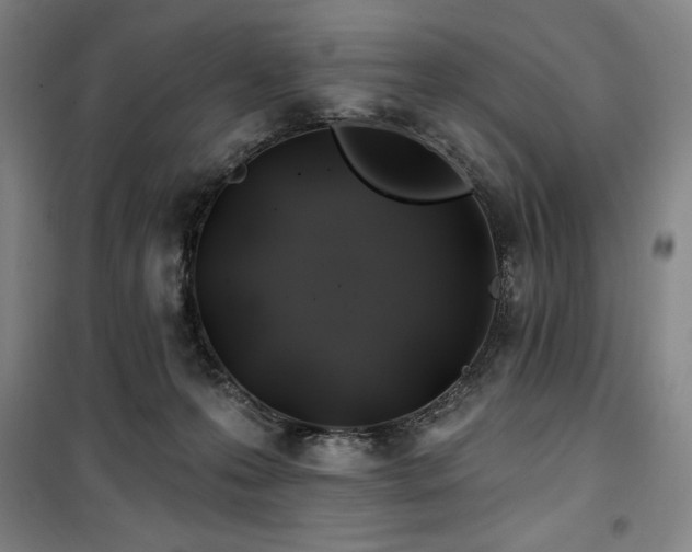 X0000100370223200806061203