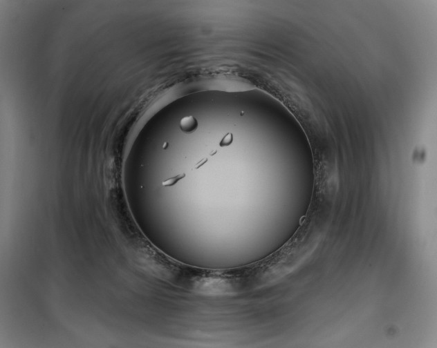 X0000100370224200806061203