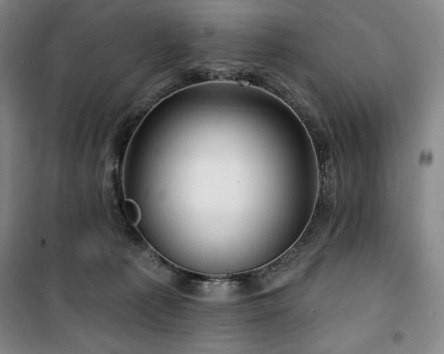 X0000100370225200806061203