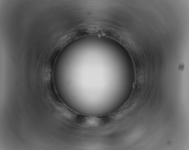 X0000100370226200806061203