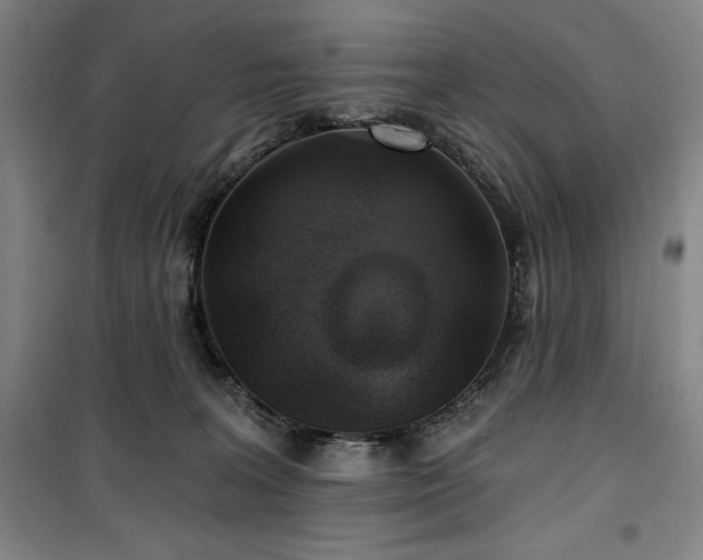 X0000100370227200806061203