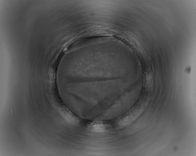 X0000100370228200806061203