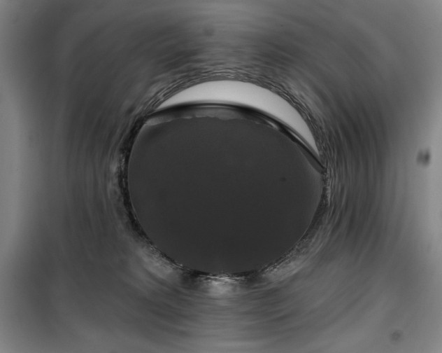 X0000100370229200806061203