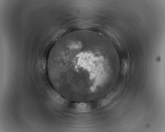 X0000100370230200806061203