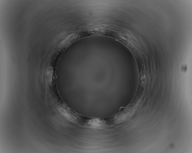 X0000100370231200806061203