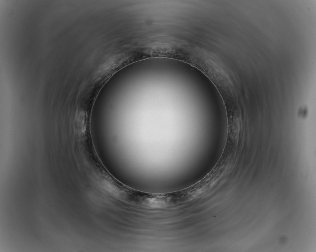 X0000100370232200806061202