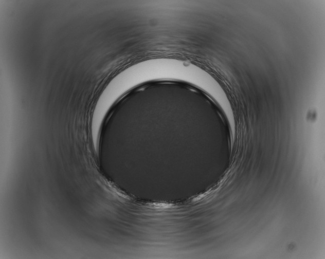 X0000100370233200806061202