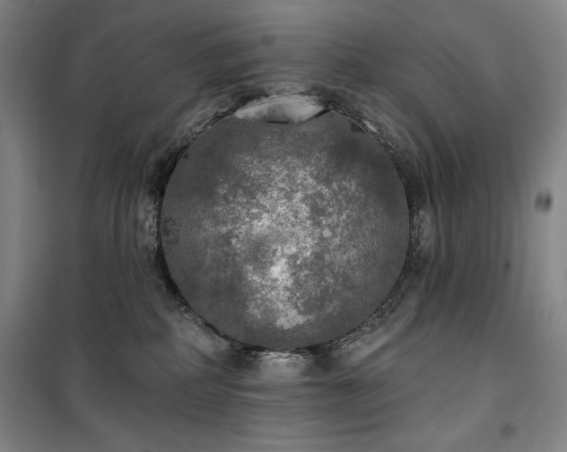 X0000100370234200806061202