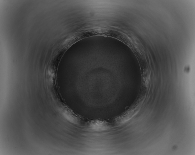 X0000100370235200806061202