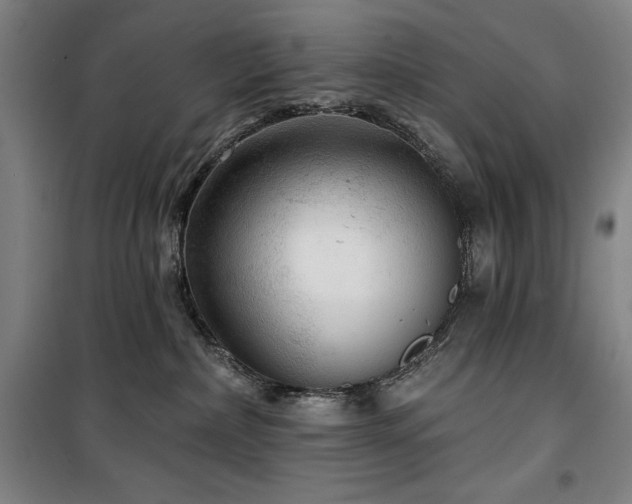 X0000100370236200806061202