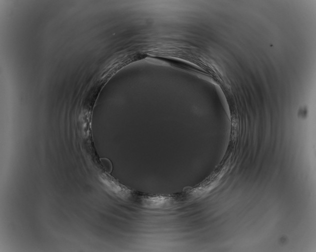 X0000100370237200806061202