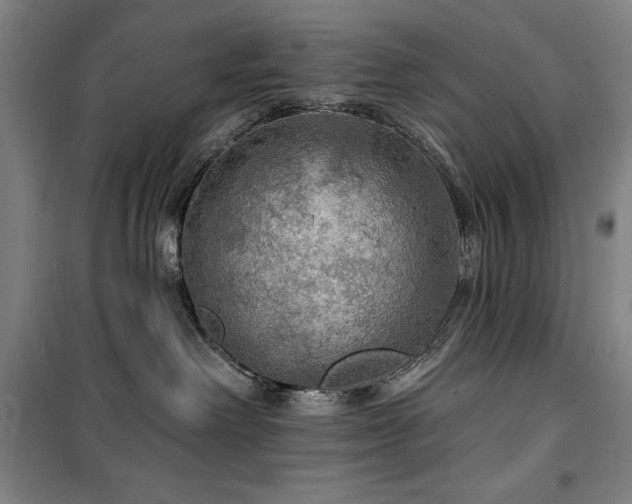 X0000100370238200806061202