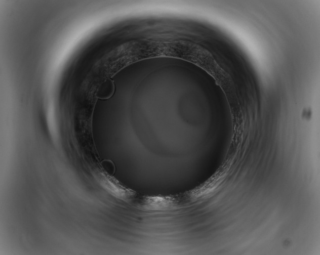 X0000100370239200806061202