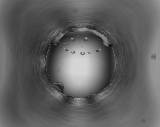 X0000100370240200806061202