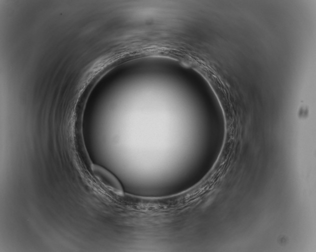 X0000100370242200806061202