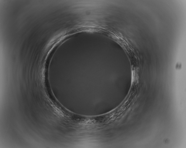 X0000100370243200806061202