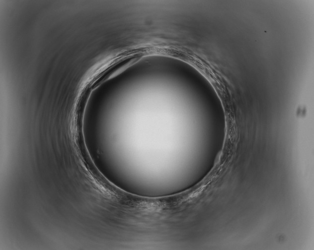 X0000100370245200806061202